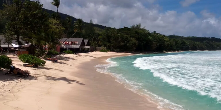 Profile national tender board of seychelles 768x384