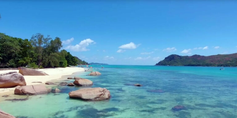 nature plus health shop seychelles 768x384