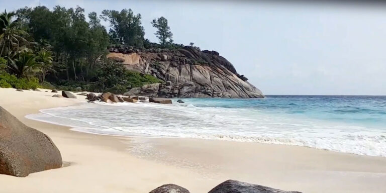 Profile naturelle trading seychelles 768x384