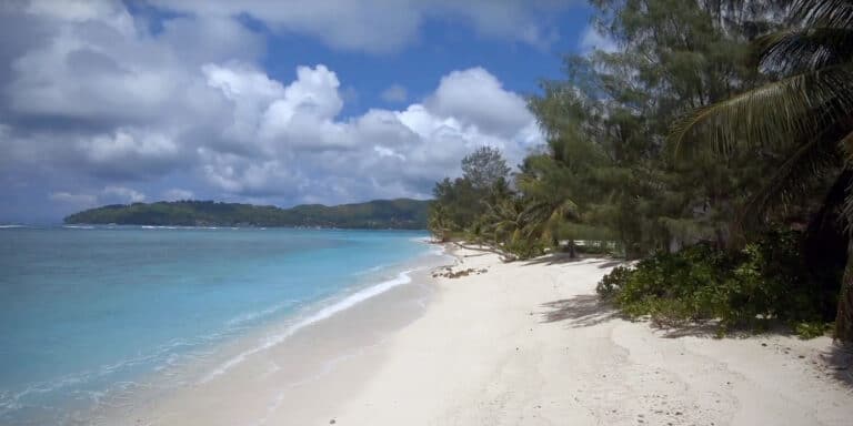 newstep boutique 768x384