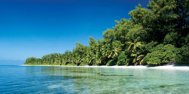 nichol gabriel seychelles attorney at law 768x384