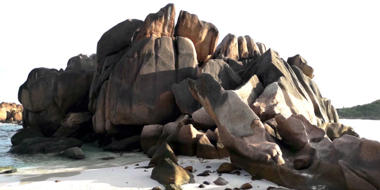 nidamev holdings pty ltd 768x384