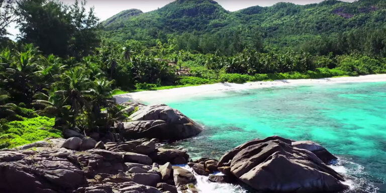 nirmala sundaramoorthi 768x384