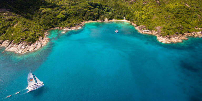 nora brigitte mussard 768x384