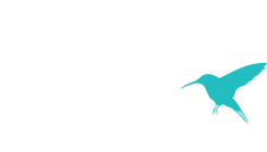 normal colibri logo