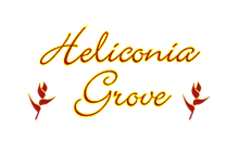 normal logo 1733477715