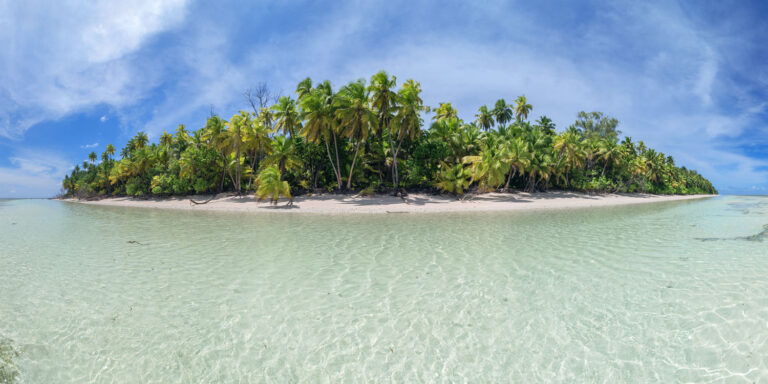 ocean basket pty ltd 768x384