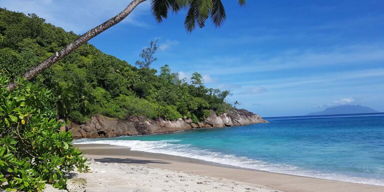 ocean panorama 768x384