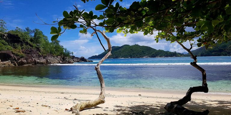 ocra seychelles ltd 768x384