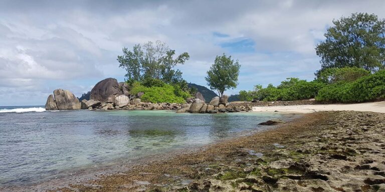 octave jenny properties 768x384