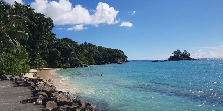 ogilvy sons co pty ltd 768x384