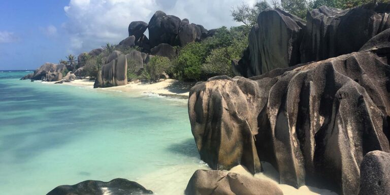 oh cakes seychelles 768x384