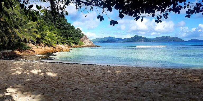 ok cruise pty ltd 768x384