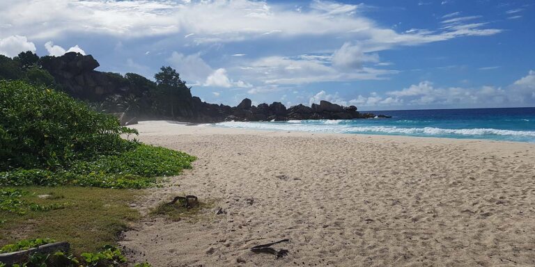 okeanos cruise seychelles 768x384