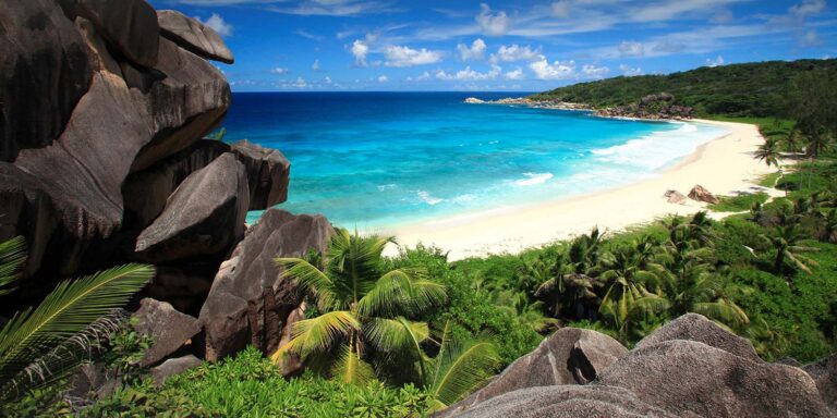 olivia metcalfe 768x384