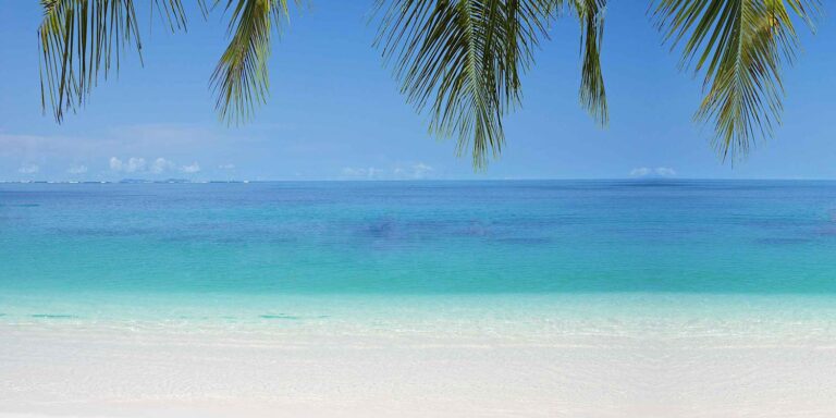 one love music production seychelles 768x384