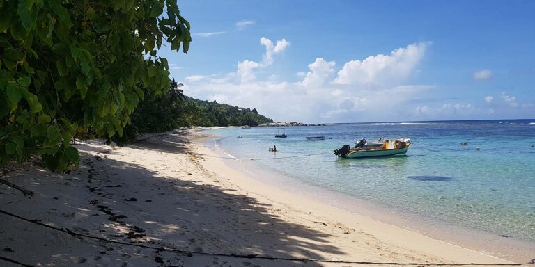 online souvenir store seychelles 768x384