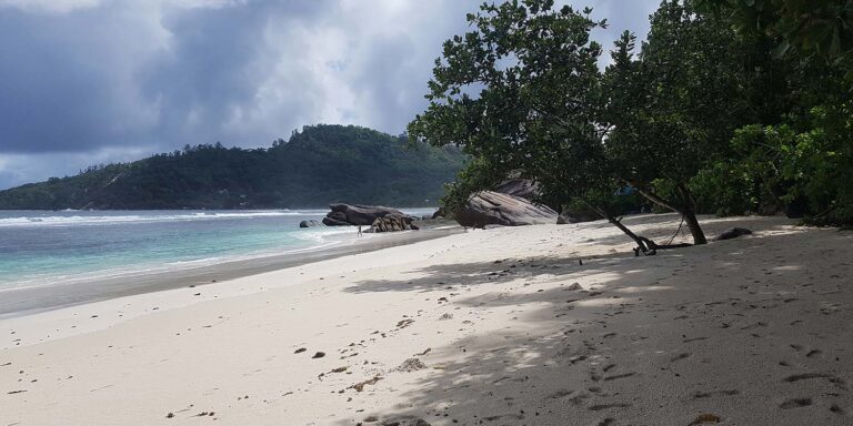 Profile oquay shop seychelles 768x384