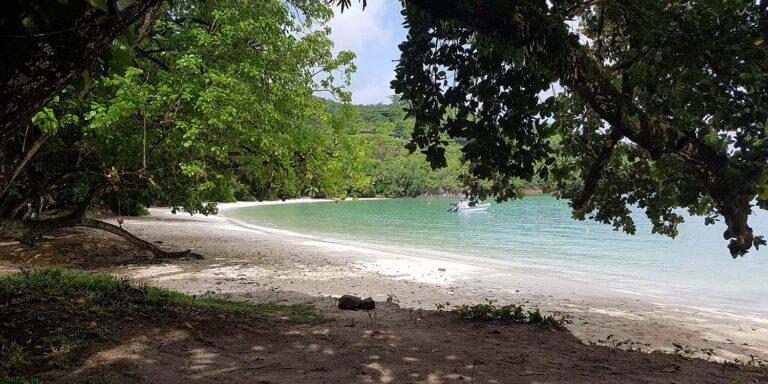 orchid travel ltd 768x384