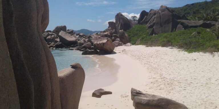 oriental supermarket seychelles 768x384