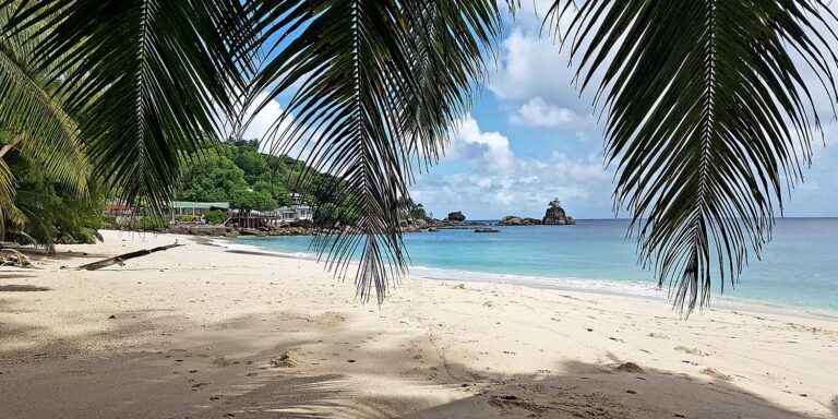 ortus laboratories proprietary limited 768x384