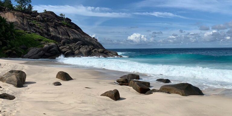 p raju store 768x384