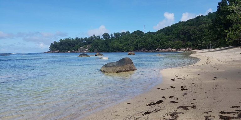 p santhanan chetty 768x384