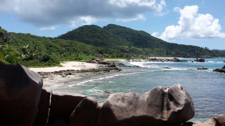 pace seychelles proprietary limited 768x432