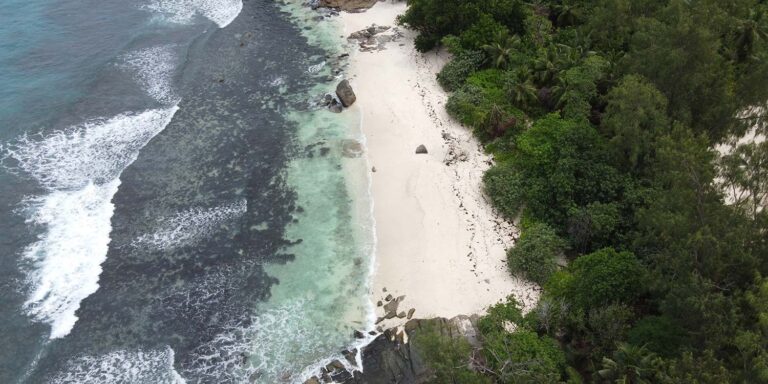 padayachy peter 768x384