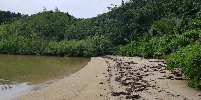 palm beach hotel 768x384