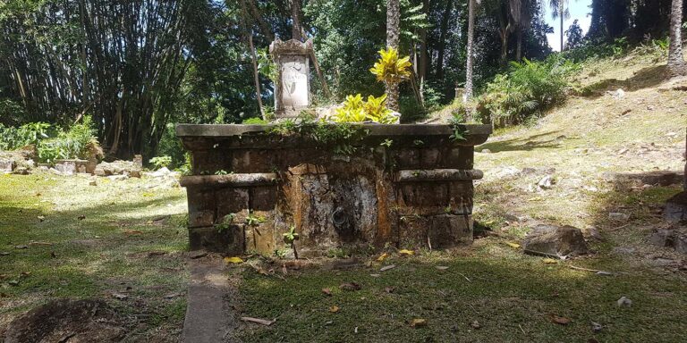 palm transport company ltd 768x384