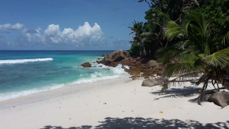 palmont studio self catering 768x432