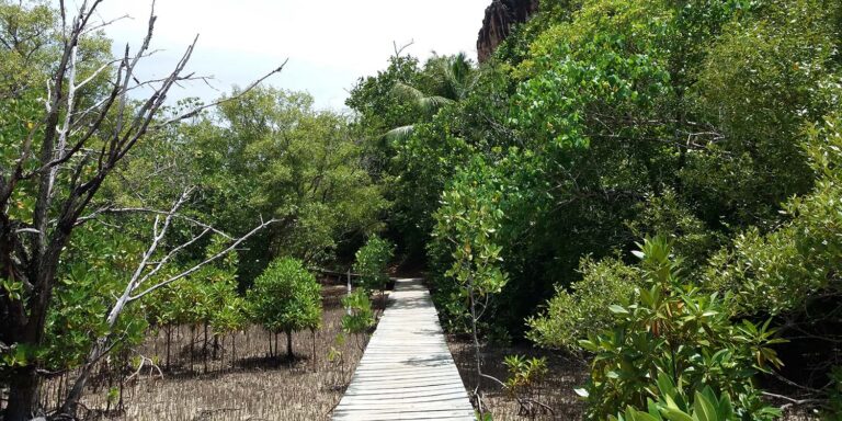 paradise promotions limited 768x384