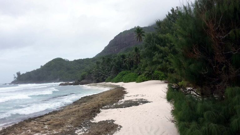 paradise travel seychelles 768x432