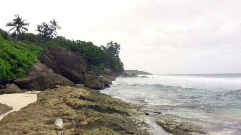 paradisier restaurant ex cafe le monde 768x432