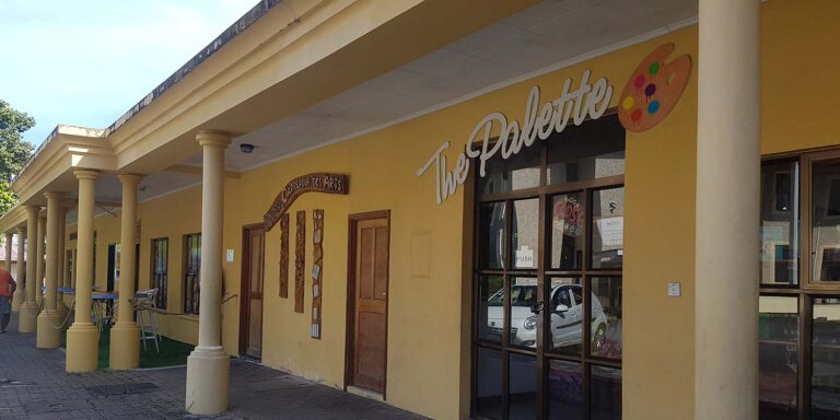 pearl seychelles autism support group 768x384