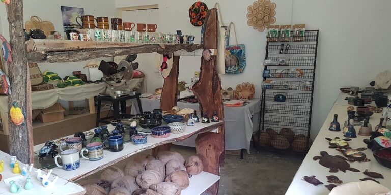 pensonic seychelles 768x384