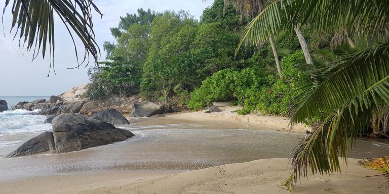 pirogue investment proprietary limited 768x384