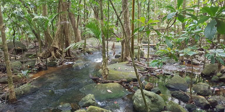 port glaud resorts pty ltd 768x384