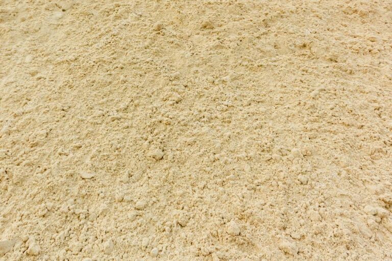 presafe services limited 768x512