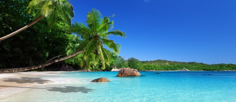 public participation process for the seychelles mariculture master plan 768x331