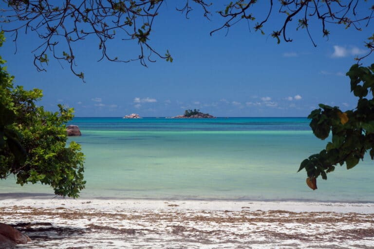 ragaum financial tax consultants 768x512