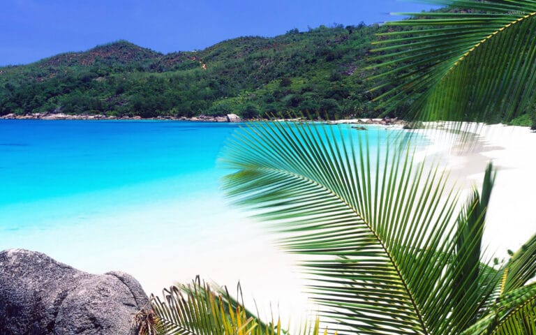 RAJIV GANDHI FOUNDATION SEYCHELLES INDIAN OCEAN CHAPTER rajiv gandhi foundation seychelles indian ocean chapter 768x480