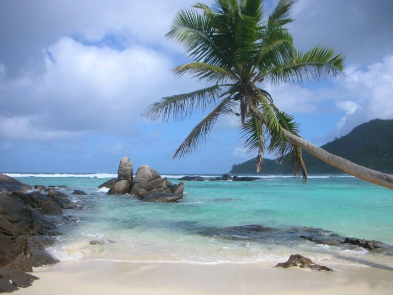 ramasamy narayanan 768x576