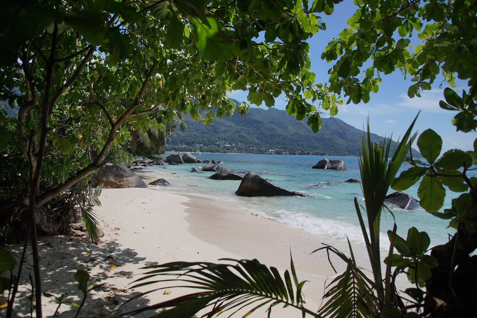 tour rasta magico dell'isola delle seychelles