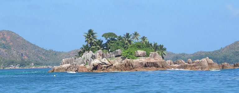 rds trading proprietary limited 768x299