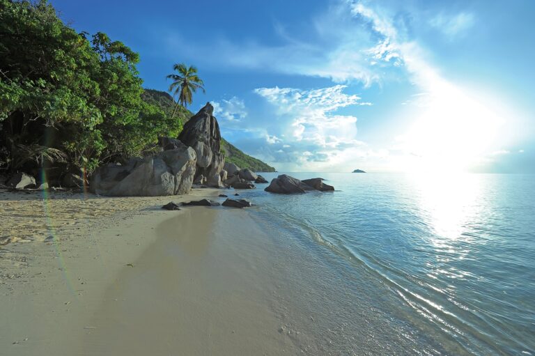 recoil seychelles 768x511