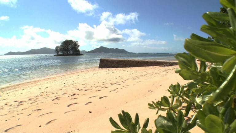 red coconut self catering 768x432