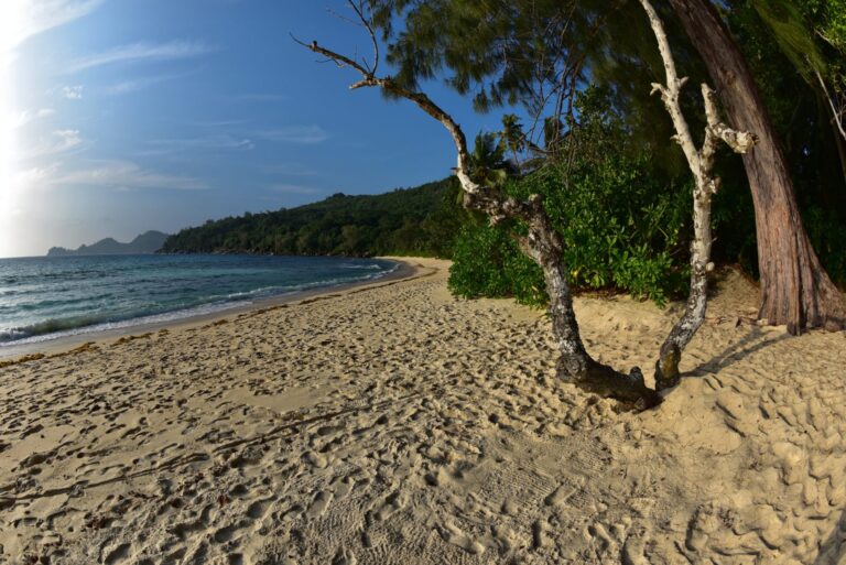 reef resort limited 768x513