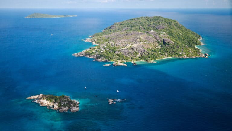 rfa branch seychelles a430896 768x432